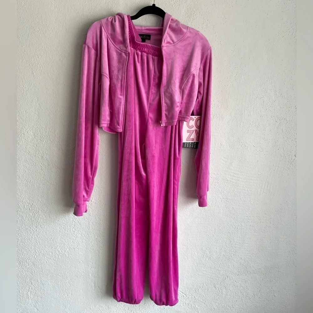 Vivre La Vie Velvet Pink Y2K Jogger and Crop Hooded Sweatshirt Set, Size L